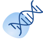 Exosomal DNA Isolation and ddPCR Analysis